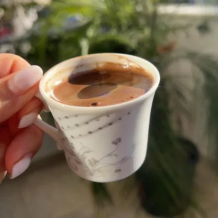 Apartment Plant House *