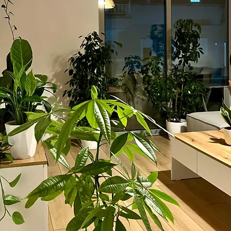 Plant House * 地拉那